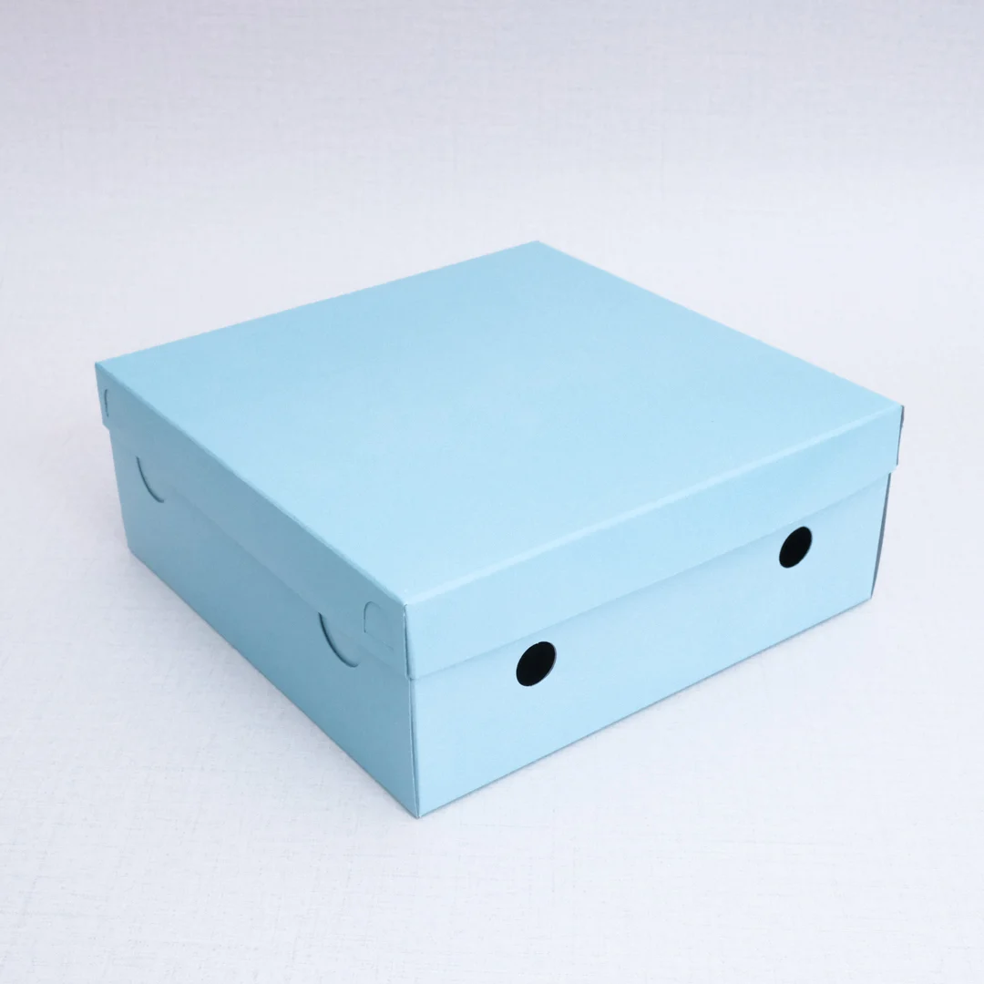 Dus Nasi Kotak Warna Box Makanan Tutup Pisah TPS uk. 20x20 - Gambar 4