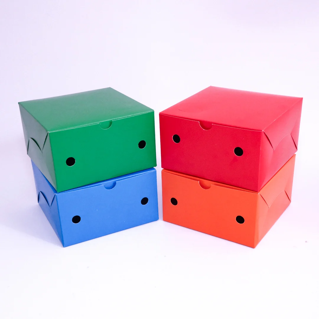 Kotak Snack Box 12x12 Warna 250gsm - Gambar 2