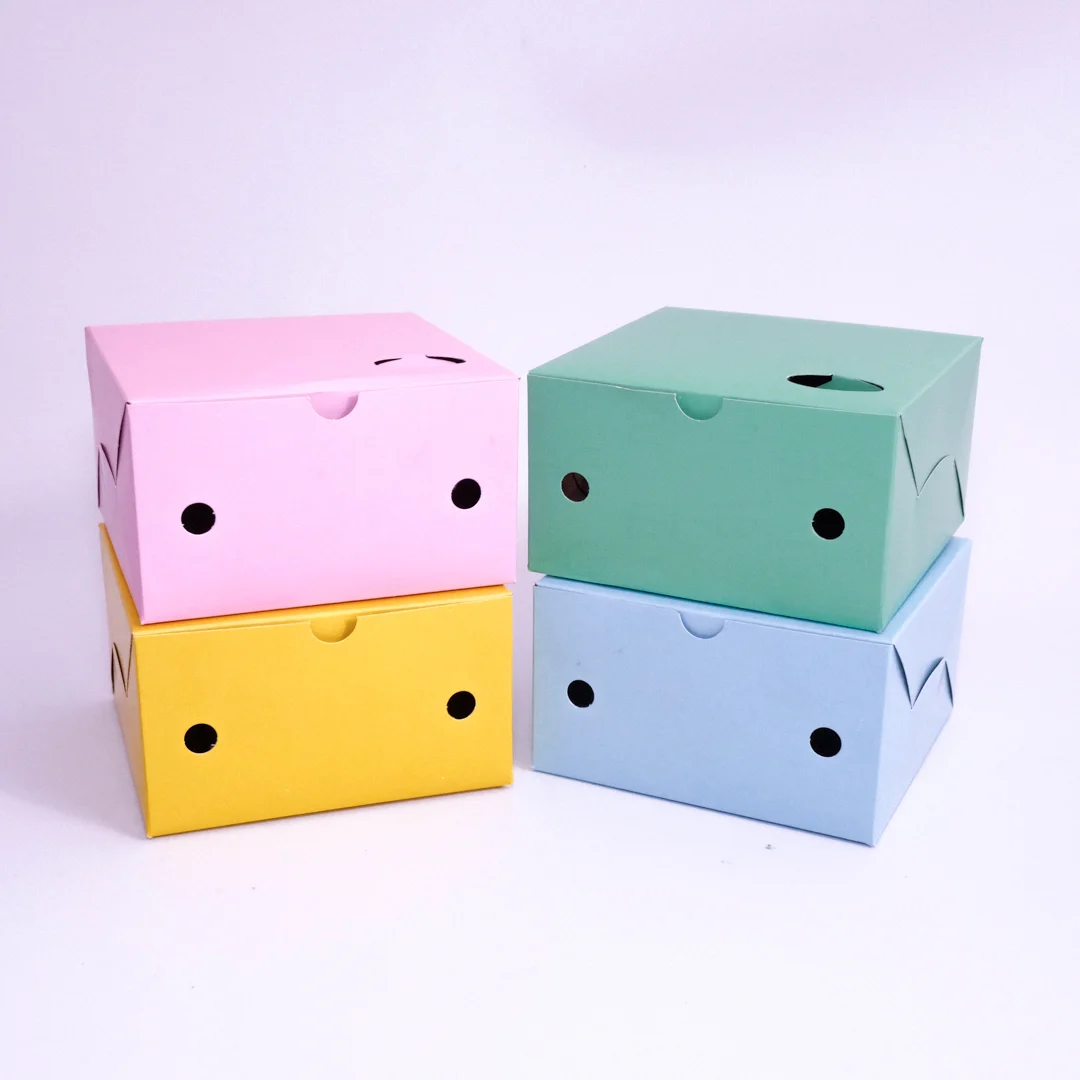 Kotak Snack Box 12x12 Warna 250gsm - Gambar 3